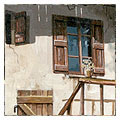 Maison Savoyarde II